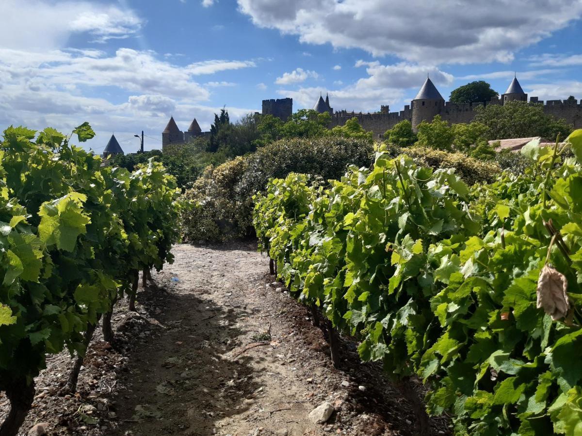 Domaine Fontgrande Gite 카르카손 외부 사진